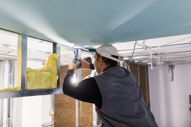 Types of Insulation We Offer in Horse Cave, KY