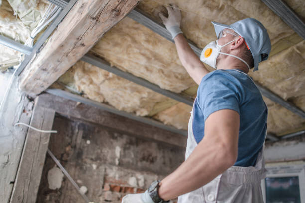 Best Spray Foam Insulation in Horse Cave, KY