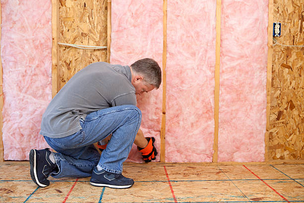 Best Eco-Friendly Insulation in Horse Cave, KY